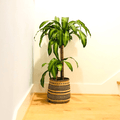 Iringa Traditional Large Basket - Black Stripe