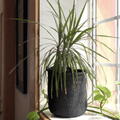 Iringa Full Small Basket - Black