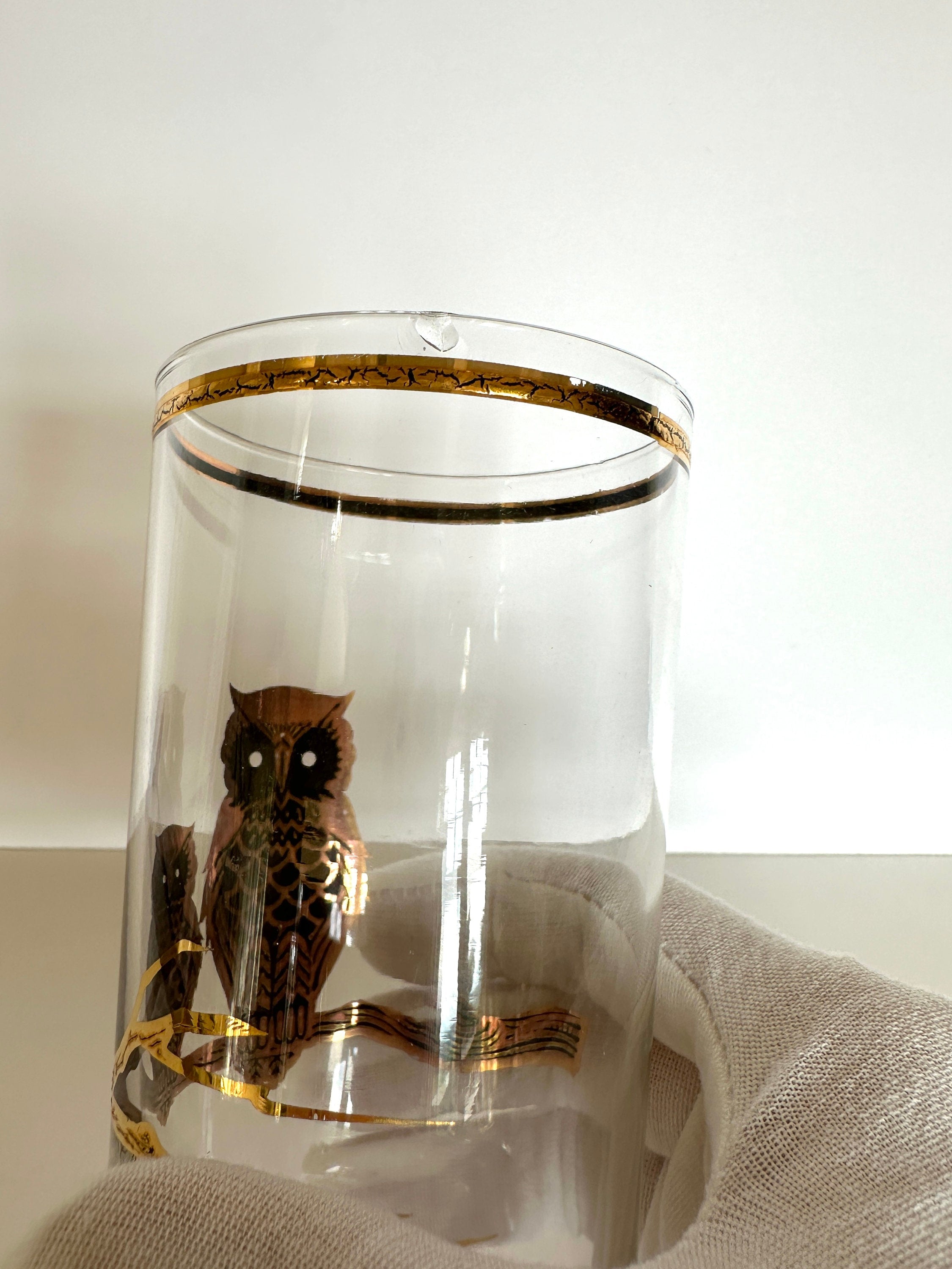 Culver Turtle and Owl Highball Glasses (in their original box)
