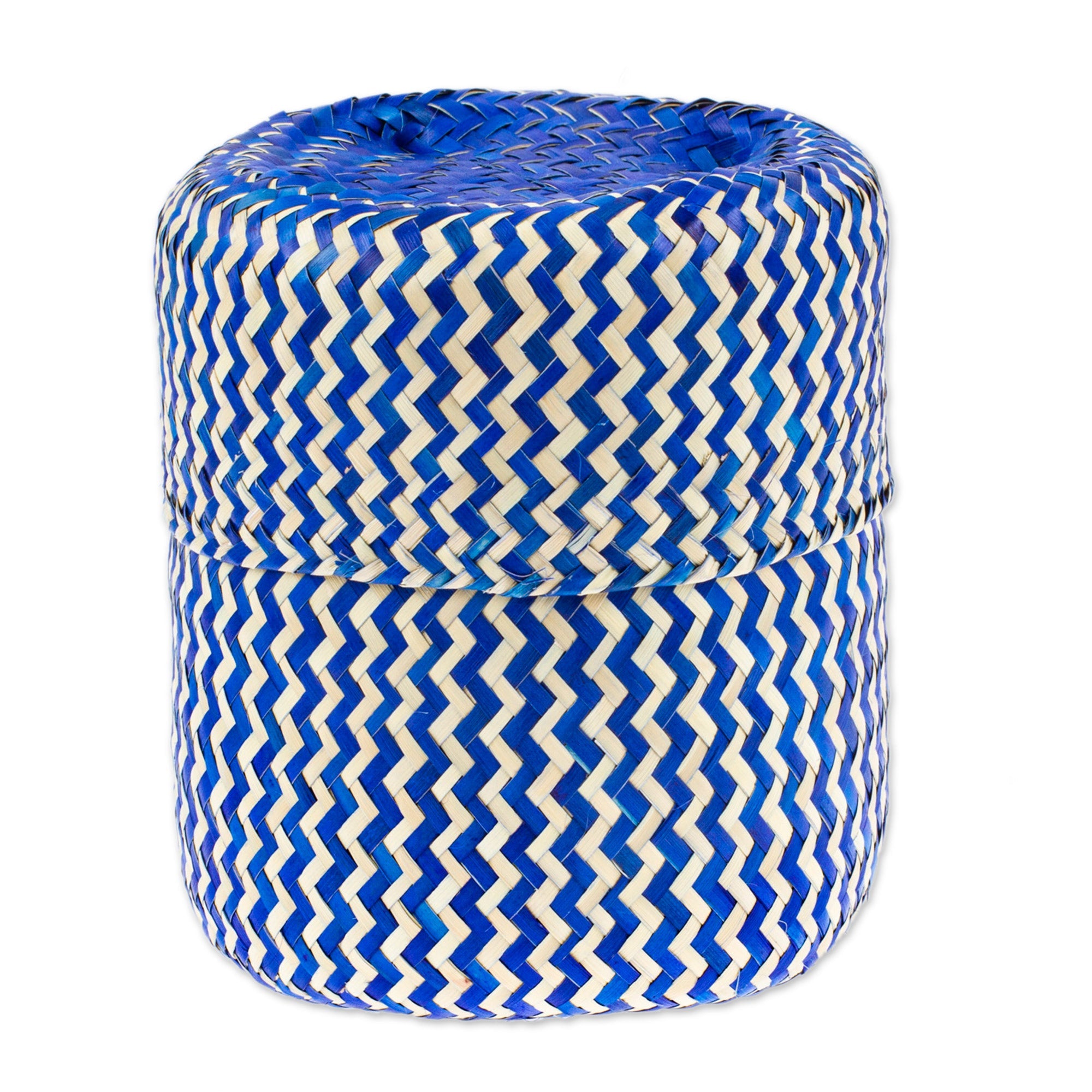 Blue Hand-Woven Palm Fiber Basket with Lid from Mexico - Tiger in Blue